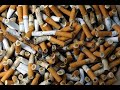 الفنان محمد رجب حمزة شيش2010 