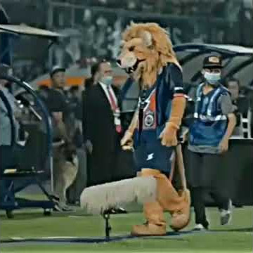 Story WA sepakbola Indonesia | Arema Fc - Singo Edan🦁
