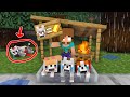 Monster School : Baby Herobrine Girl and Dog - Sad Story - Minecraft Animation