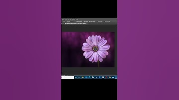 How to create a predefined brush preset in Adobe Photoshop #shorts