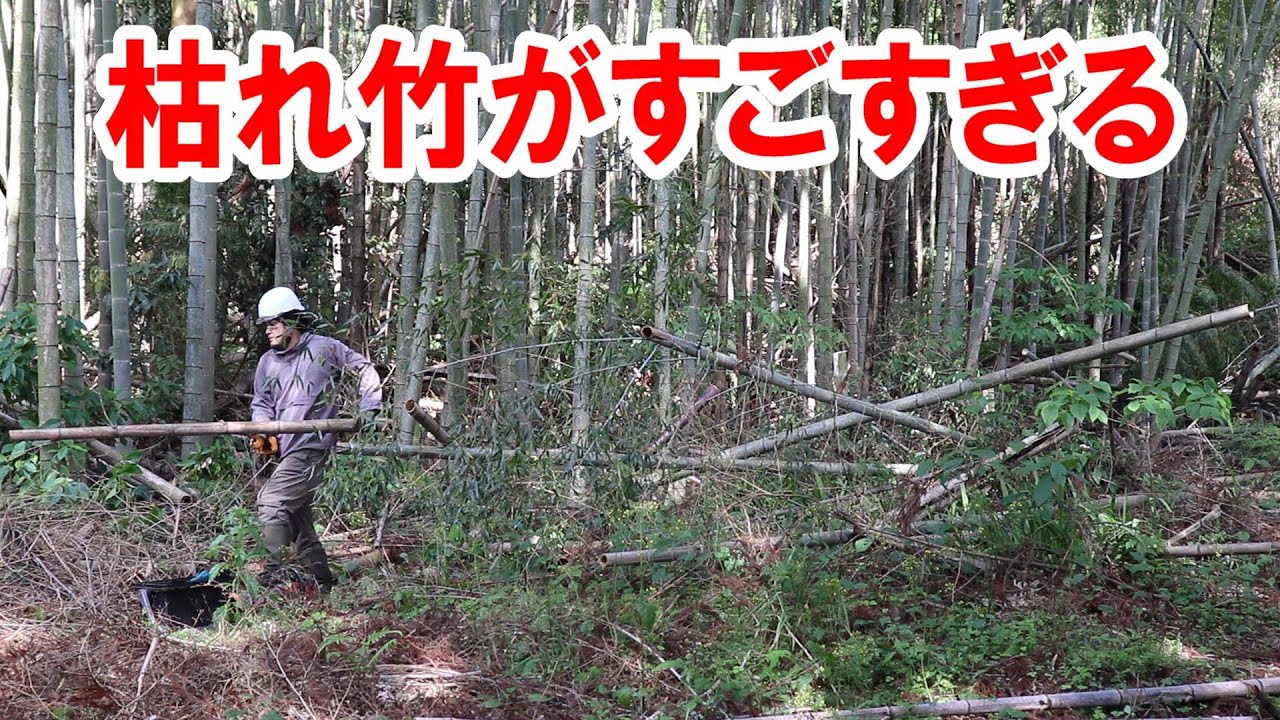 竹や木がびっくりするくらい切れる新型 5枚 255 石にも強い