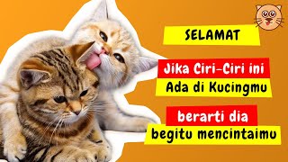 7 TANDA KUCING SUKA SAMA PEMILIKNYA  NO 4 PALING AKU SUKA! CIRI KUCING MENCINTAIMU