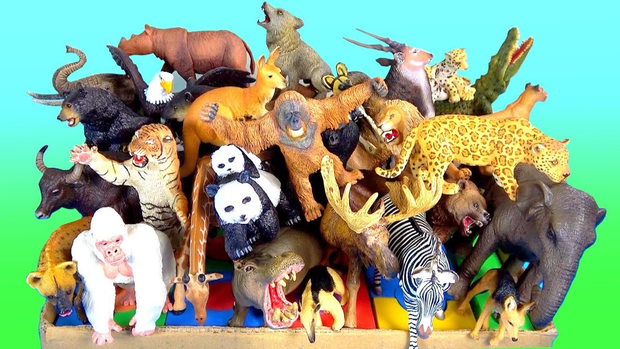 wild animal toy videos