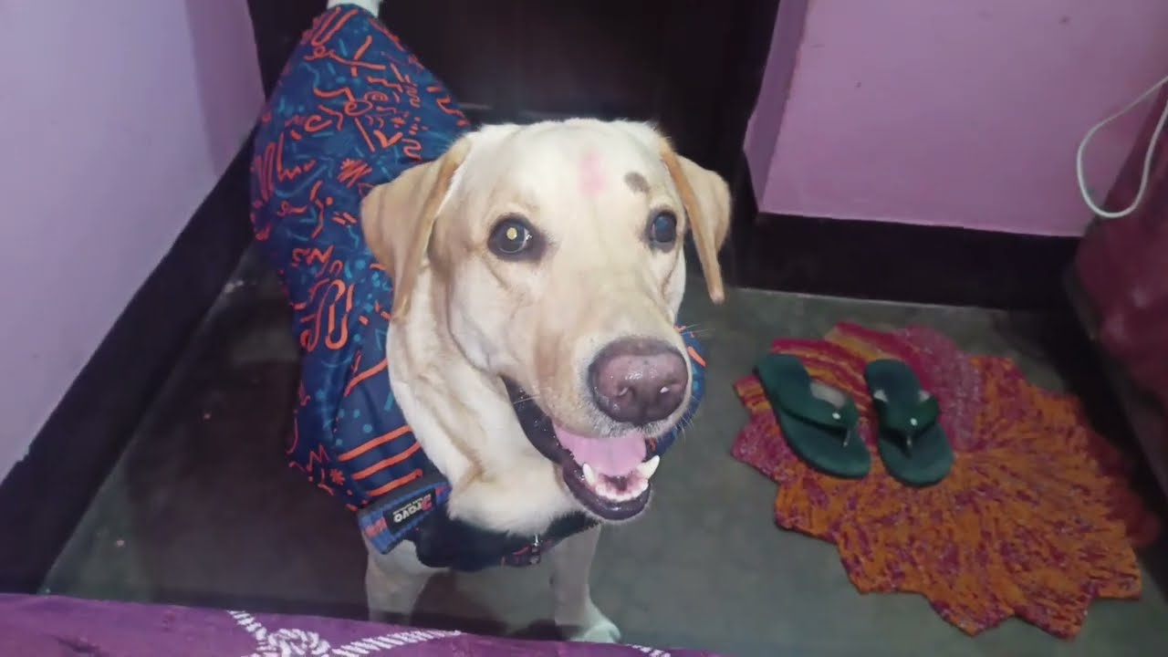 Koyi mujhe bhi pyaar kar lo🫶😔