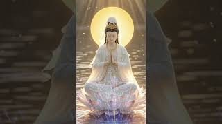 观世音菩萨心灵法门