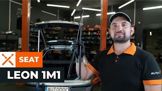 Jak vyměnit Vratna / vodici kladka, ozubeny remen на SEAT LEON (1M1) - online zdarma video