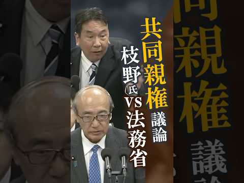 共同親権 枝野幸男氏が追及 #共同親権 #枝野幸男 #立憲民主党 #shorts #short