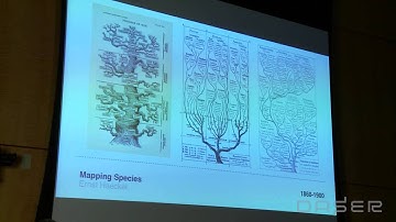 Manuel Lima: Visualization Metaphors: Unraveling the Big Picture