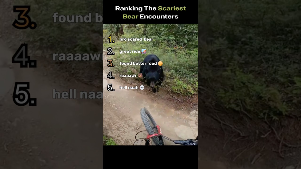 Ranking SCARIEST BEAR moments🐻 