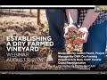 Establishing a Dry Farmed Vineyard