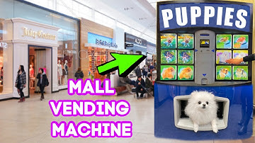 FIRST DOG VENDING MACHINE EVER 😲