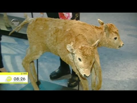 19 მაისს აქცია \"ღამე მუზეუმში\" მოეწყობა