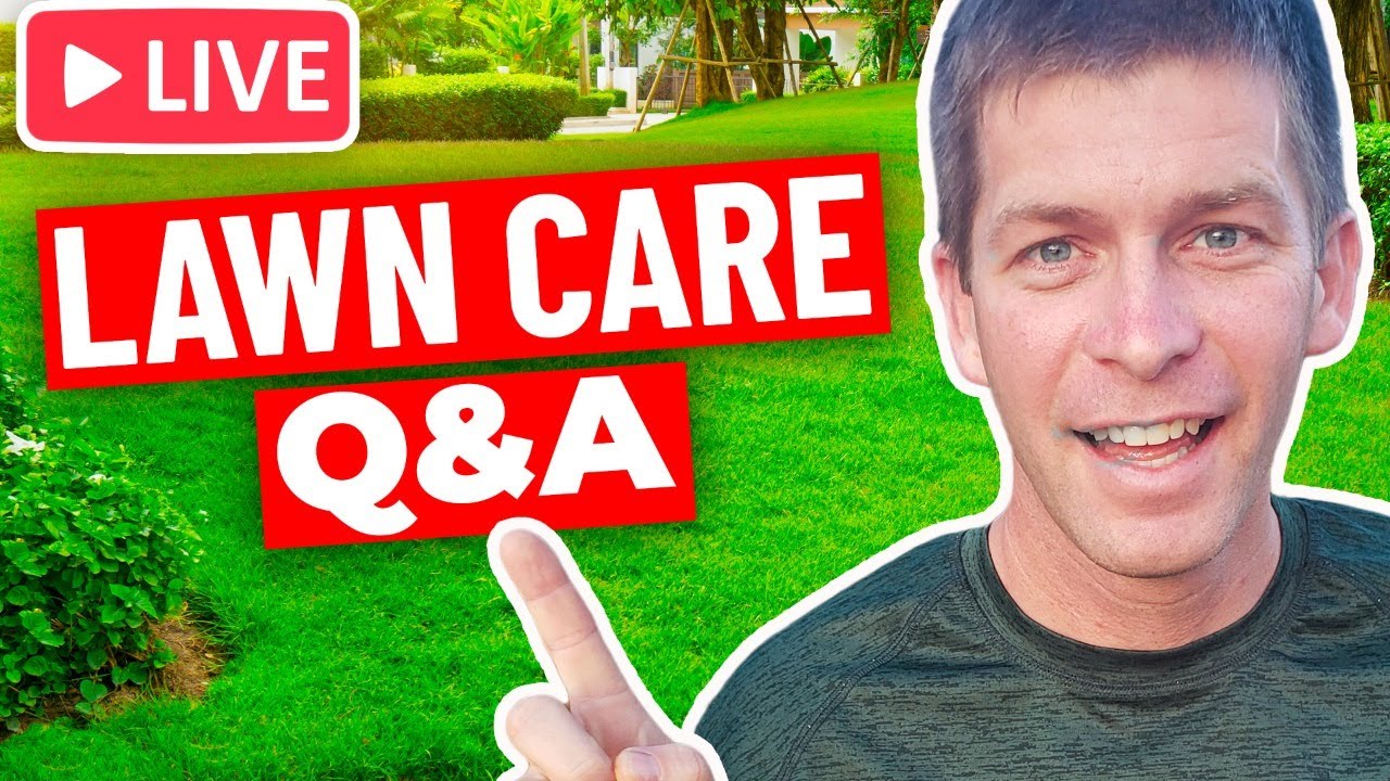 Lawn Care Questions and Answers with Jason Creel Live YouTube