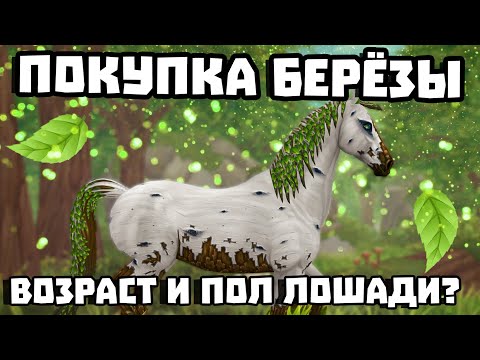 Видео: ПОКУПКА БЕРЁЗЫ | СМЕНА ПОЛА И ВОЗРАСТА ЛОШАДИ? | Star Stable