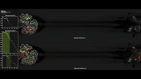 CES LAB Direct Numerical Simulation Video