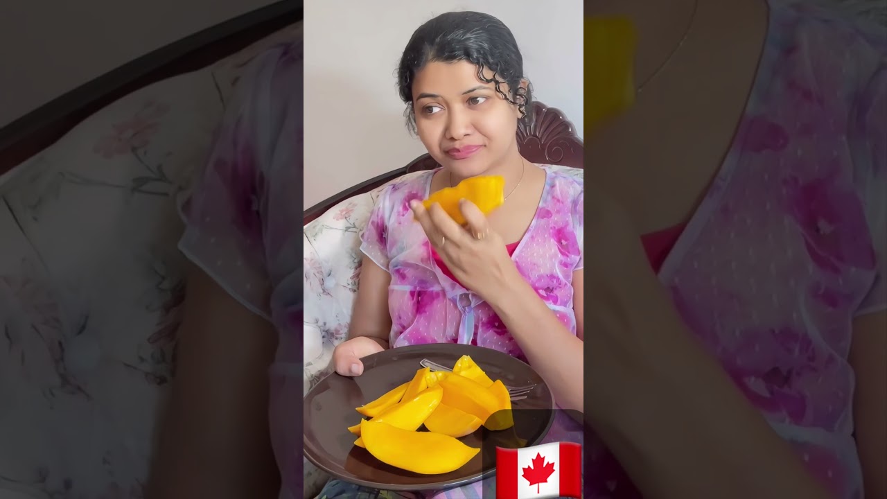 Canada🇨🇦 Vs India 🇮🇳| MANGO Eating! 