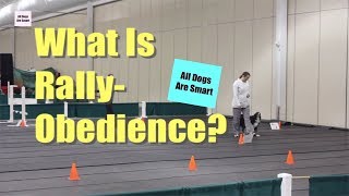 What Is RallyObedience?