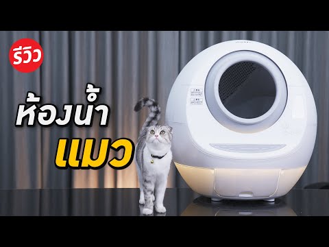 ห้องน้ำแมวออโต้ เพื่อเหล่าทาสแมว !!