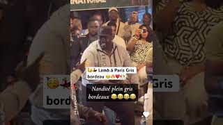 Gris bordeau à Paris Lamb 🤼🤭❤️🥳😍🔥 #senegal
