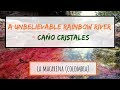 River of five colors insider travel guide to cao cristales