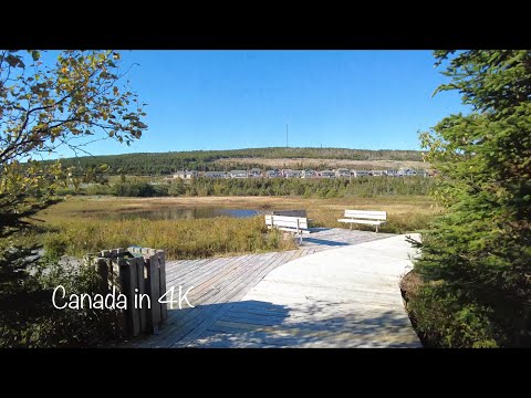 #63) Mount Pearl, NL, Canada: Walking on Branscombes Pond [4K]