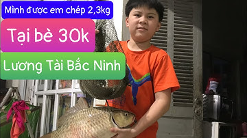 Bốn hôm đi câu bè 30k ở Hương Trai Lương Tài Bắc Ninh lên được em chép