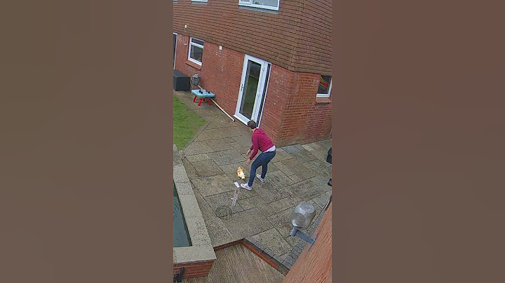 My wife went into the garden at the perfect time 🤣😲 (🎥: Collab)