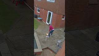 Thumbnail for My wife went into the garden at the perfect time 🤣😲 (🎥: Collab)