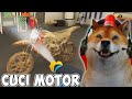 CUCI MOTOR DENGAN SABUN TERMAHAL!!! | PowerWash Simulator