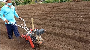 Phát Hiện Máy Cày Mini Yanmar Chạy Quá Nhanh//mừng gò công vlog