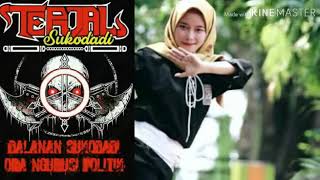 Download lagu Terjal nusantara