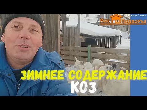 Все про коз: содержание, покрытие, кормление. "Мое Подворье"