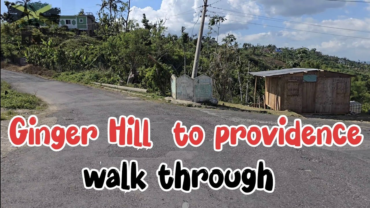 Walking the pineapple capital of st elizsbeth for the first time