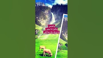 والضحى والليل إذا سجى ، تلاوة هادئة