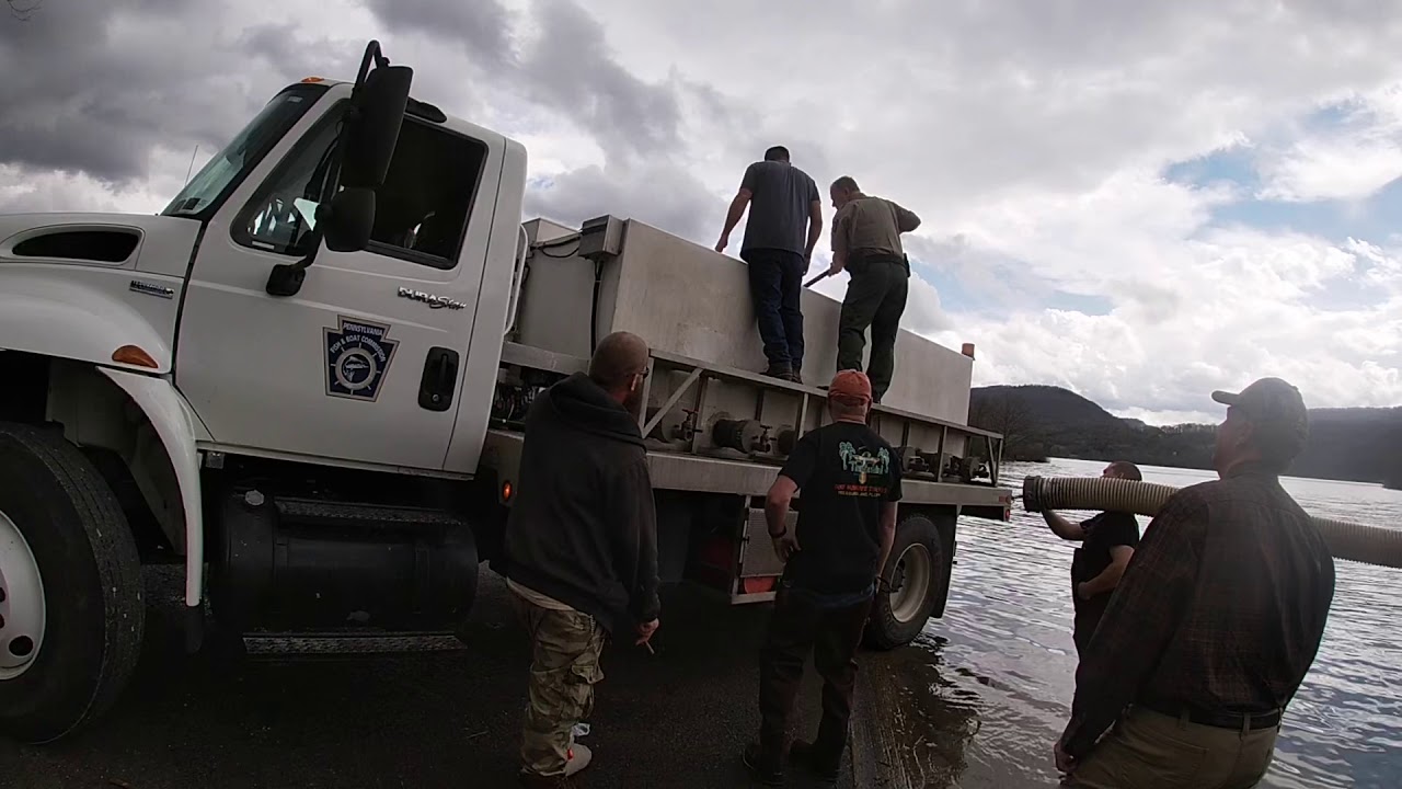 PA TROUT STOCKING 2019!!