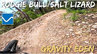 Rodgie Bullsalt Lizard - Gravity Eden, Nsw