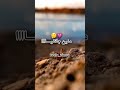 مدريت هاد البابيشة