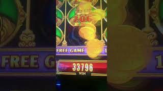 yamaava casino on a roll