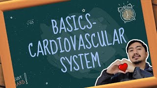 CARDIOVASCULAR SYSTEM | Basics