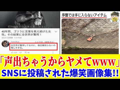 【神回】思わず声が出るSNSの爆笑投稿がツッコミどころ満載だったwww笑ったら寝ろwww【ゆっくり】