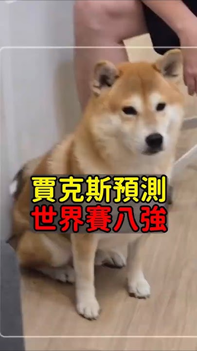 [閒聊] 魚丸的狗預測