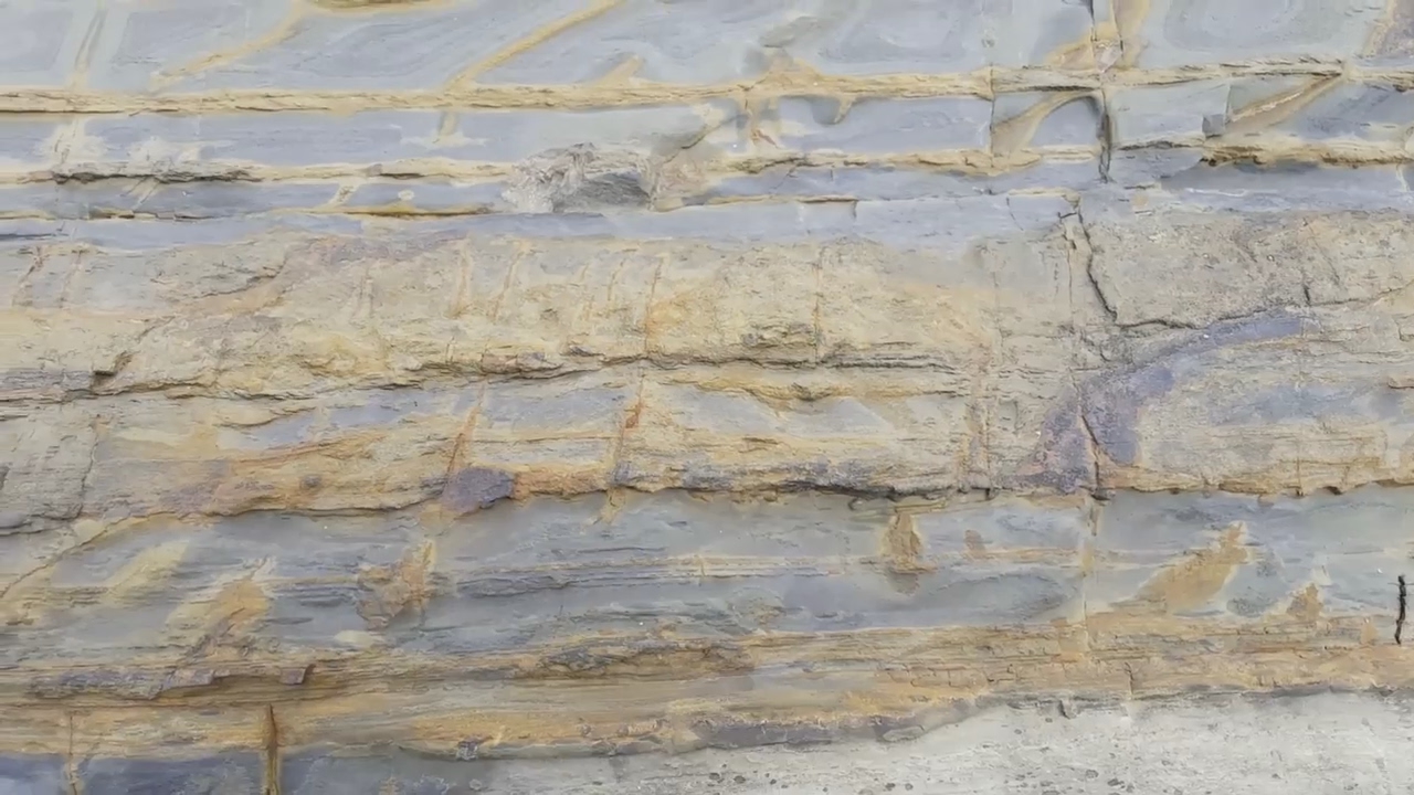 Dargile formation siltstone.