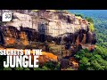 A crumbling stairway stone paws and monolith in sri lanka  secrets in the jungle  science channel