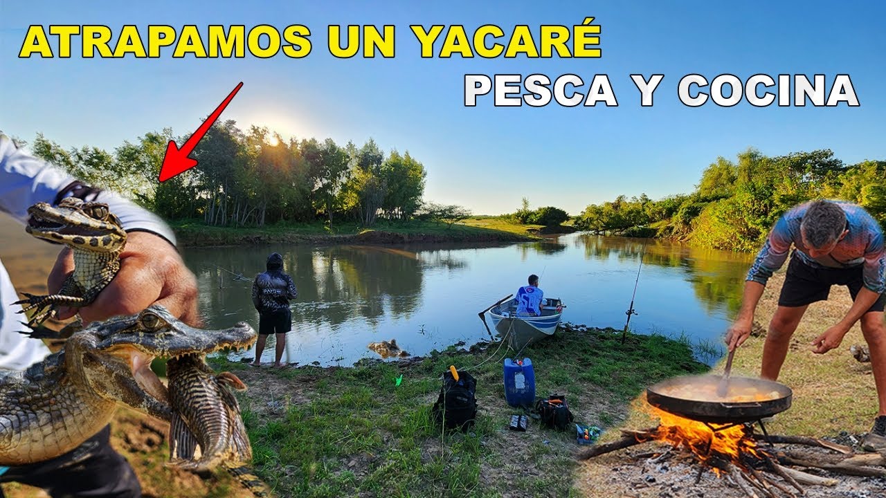 PESCA DE GRANDES PECES Y YACARÉ. MIREN ESTO🐊🎣 TODO SEA POR LA PESCA. COCINA AL DISCO