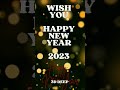 #happynewyear #congratulations #newyear #2023 #baby #funnyvideo #shorts #shortsvideo #youtubeshorts