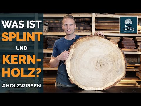 Video: Splintholz ist die Hauptholzschicht