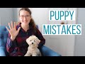 5 MISTAKES WE MADE WITH OUR MALTIPOO PUPPY | Mistakes New Dog Owners Make & How to Avoid Them