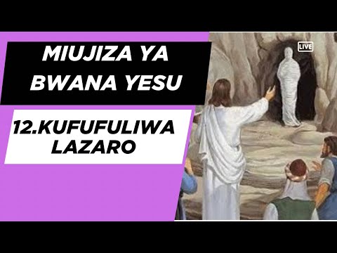 12 Miujiza Ya Bwana Yesu Yesu Amfufua Lazaro 