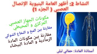 الإتصال العصبي 2:  الارتباط التشريحي للإتصال العصبي النشاط 2: أظهر الدعامة البنيوية للإإتصال العصبي