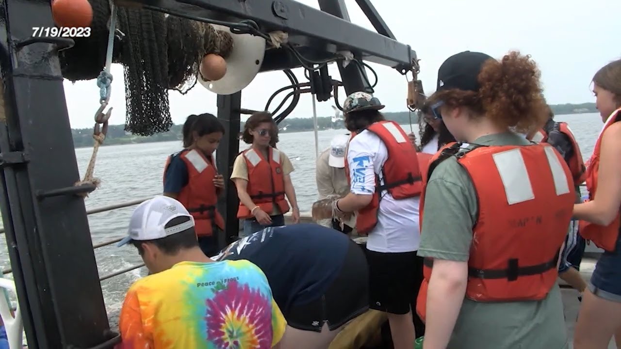 From Florida to Nantucket, great white shark 'Contender' makes his way to Mass. waters